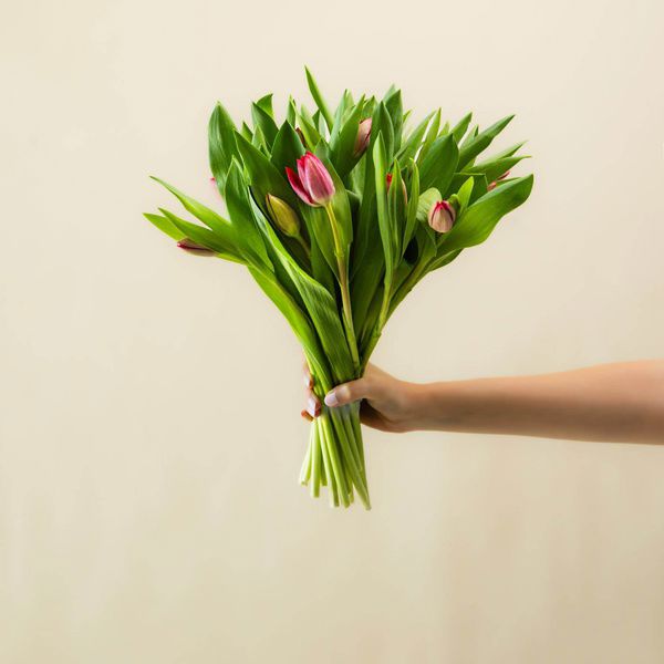 red tulips_thumbnail_0