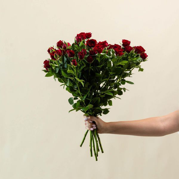 red mini roses