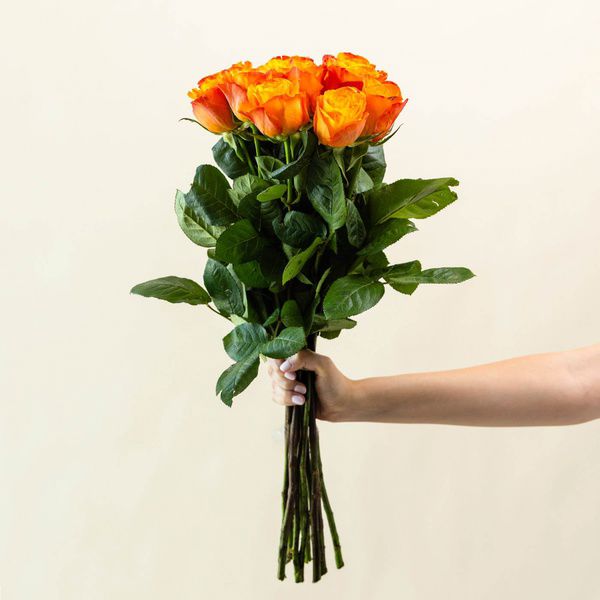 orange roses