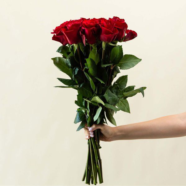 red roses